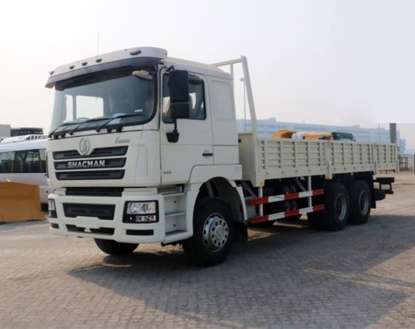 Camión SHACMAN F3000 6x4 340hp Euro II Blanco 10 ruedas de camión